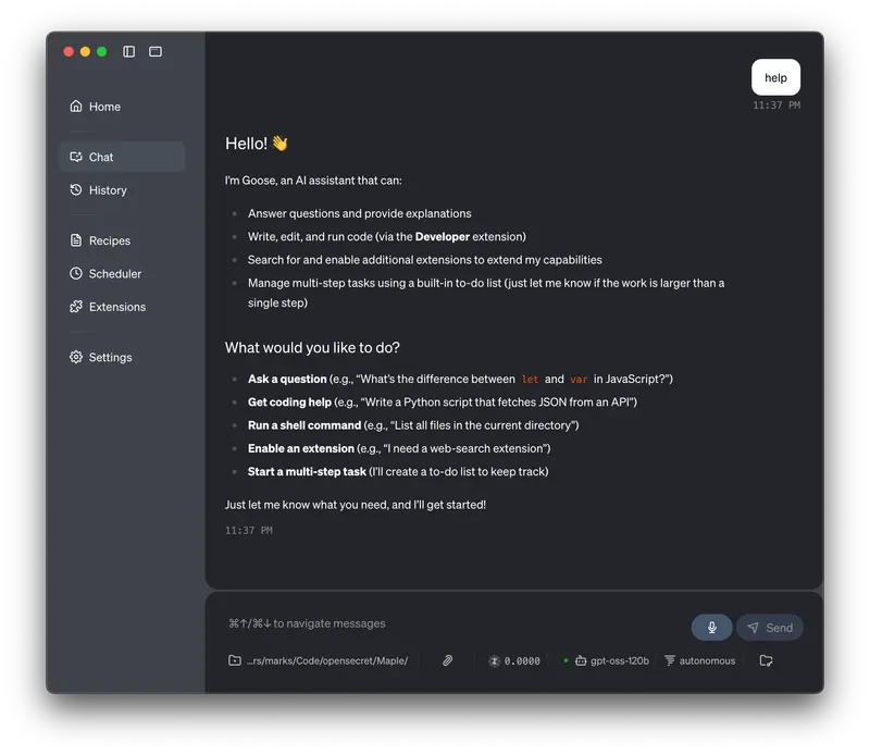Goose user interface attached to Maple AI showing what it can help you do