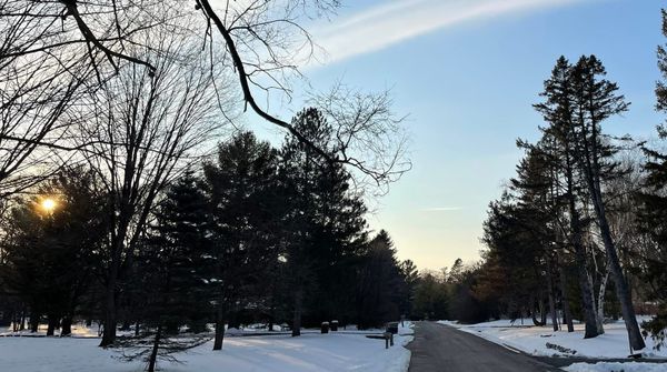 A quiet winter road winding through snow-covered woods under a clear blue sky and bright afternoon sun.