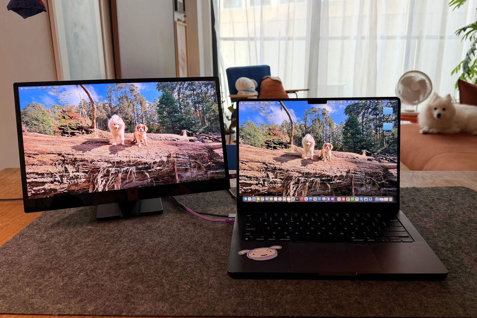 espresso Pro 15 Review: A Flexible Second Screen for Small Spaces