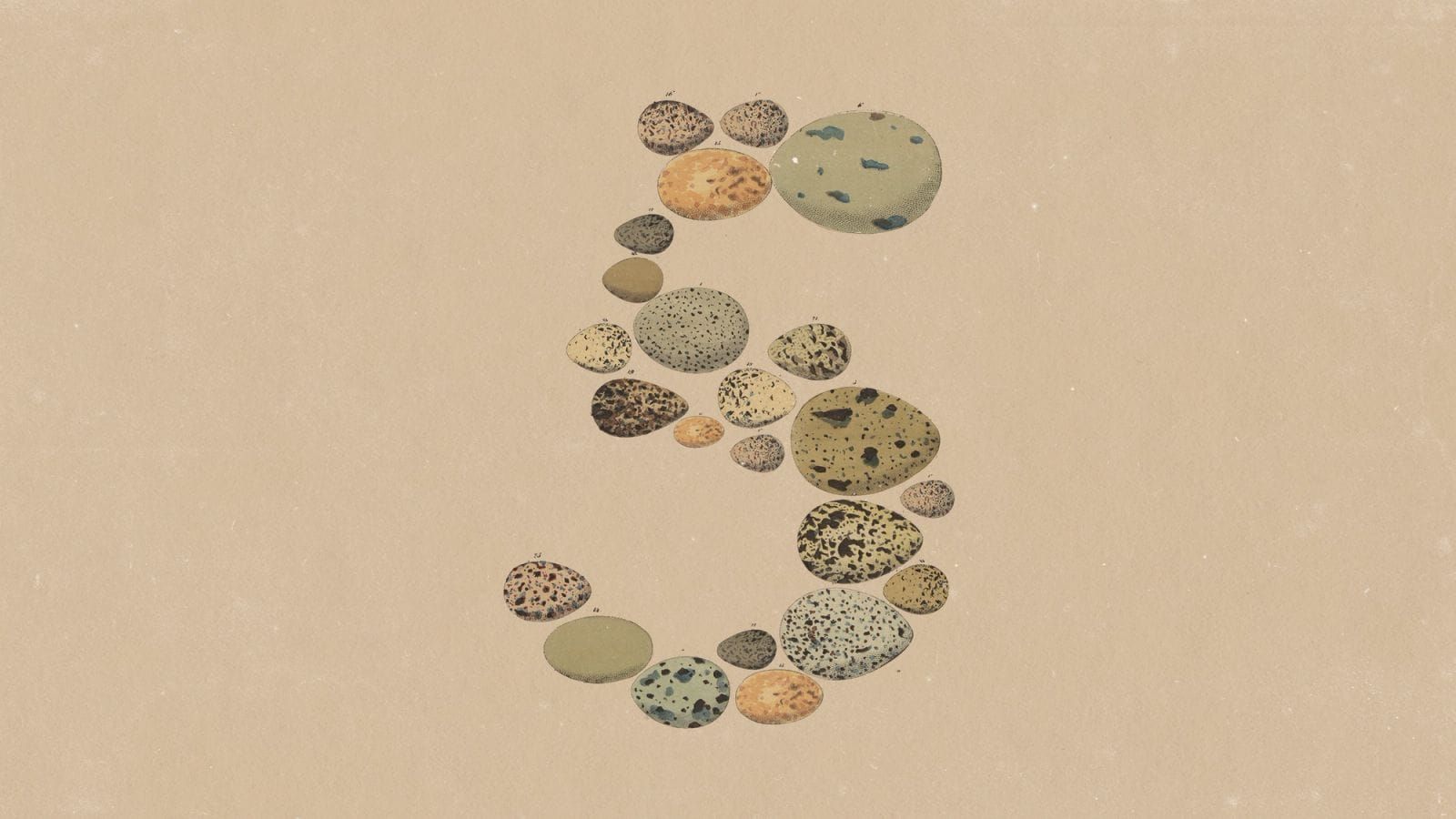 Introducing Claude Opus 5 | Anthropic 官方文章封面