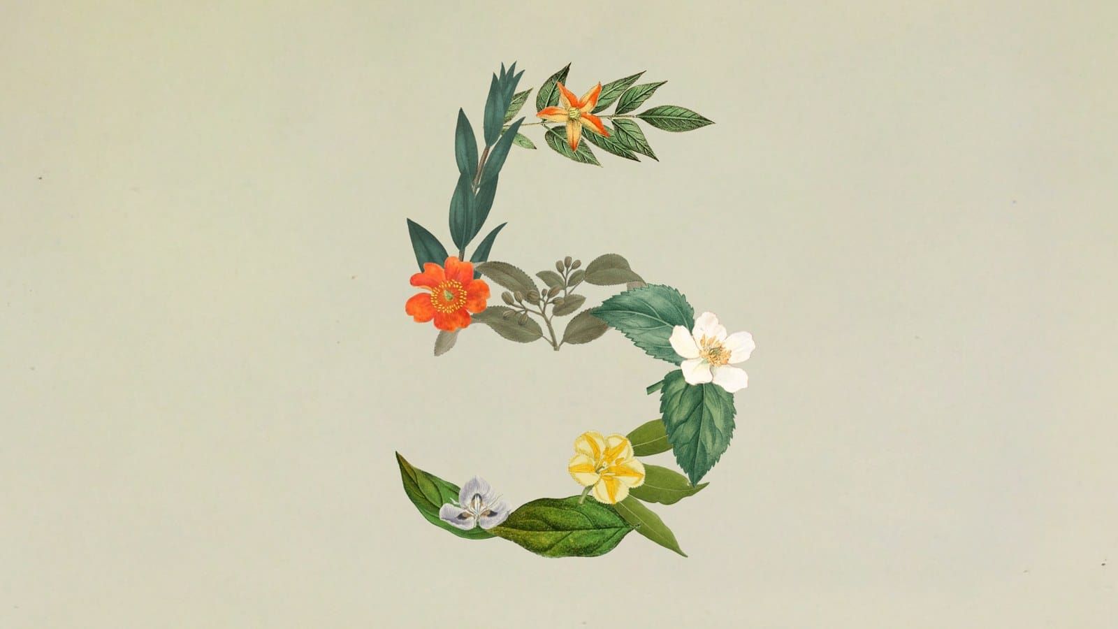 Claude Sonnet 5 發表主視覺