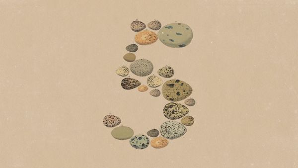 Introducing Claude Opus 5 | Anthropic 官方文章封面