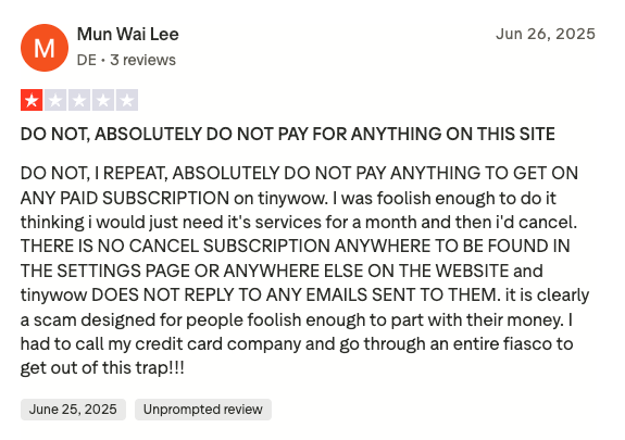Frustrated customer review of TinyWow.