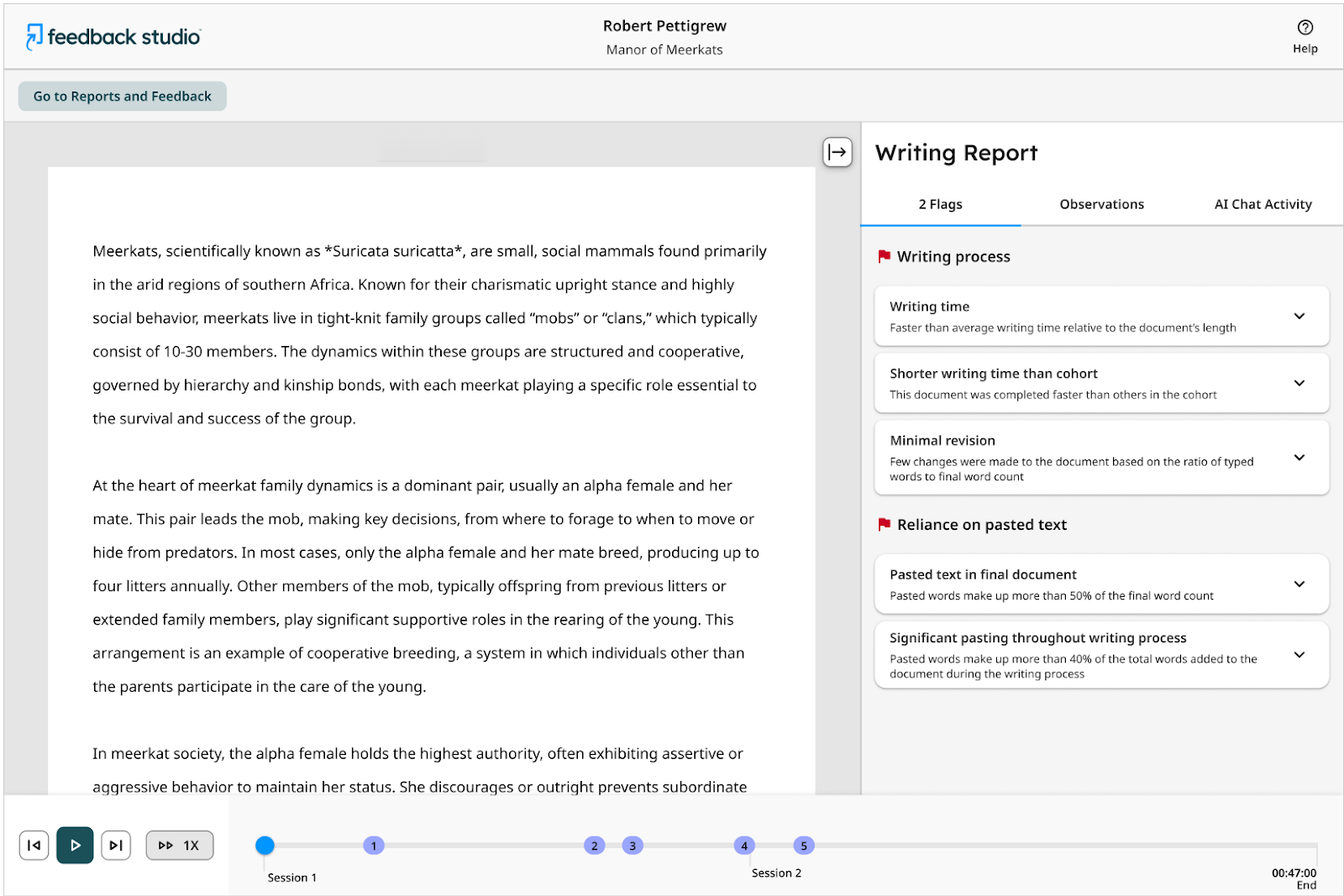 Turnitin Clarity Writing Report showing flags, observations, and writing process.