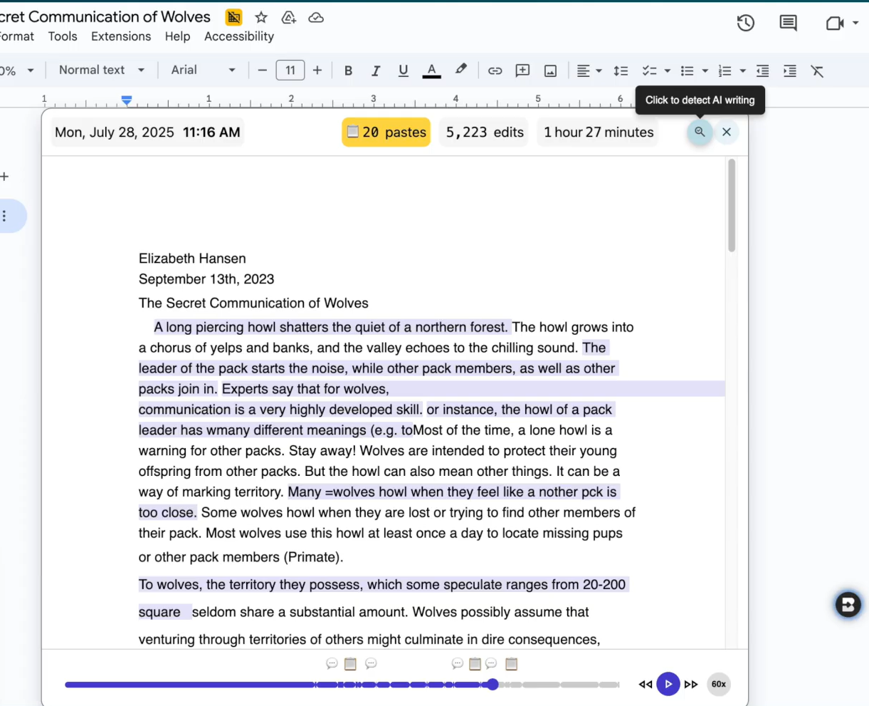 Brisk Inspect Writing replay inside Google Docs showing 20 pastes and 5,223 edits.