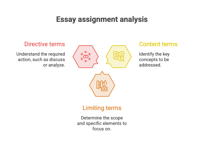 Infographic of three elements of an essay question: content terms, limiting terms, and directive terms