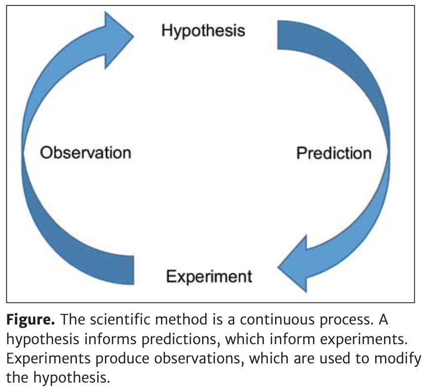 A diagram showing the circular relationship between observation, hypothesis, prediction, and experiment