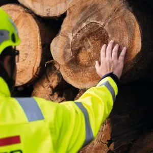 EGGER Recognized for Sustainability Performance