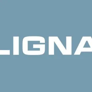 LIGNA 2019 creates fertile climate for future investment