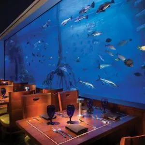 Good and “TANKED”