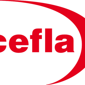 Spotlight on the 11th edition of Cefla Live: last chance to register