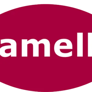 Lamello Introduces the M6 Cabineo version with helical insert