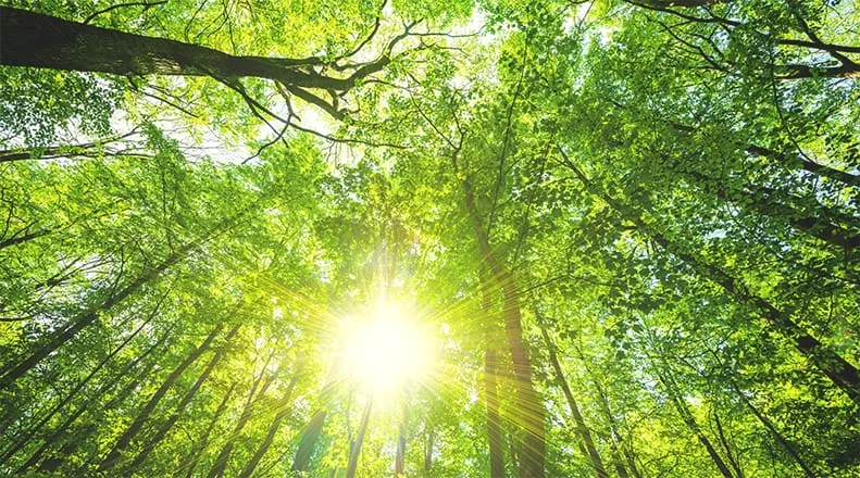 Sauder Woodworking Co. Releases 2023 Sustainability Report