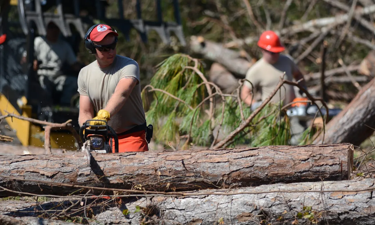 USDA Research Highlights Potential for Storm-Damaged Timber in Engineered Wood Products