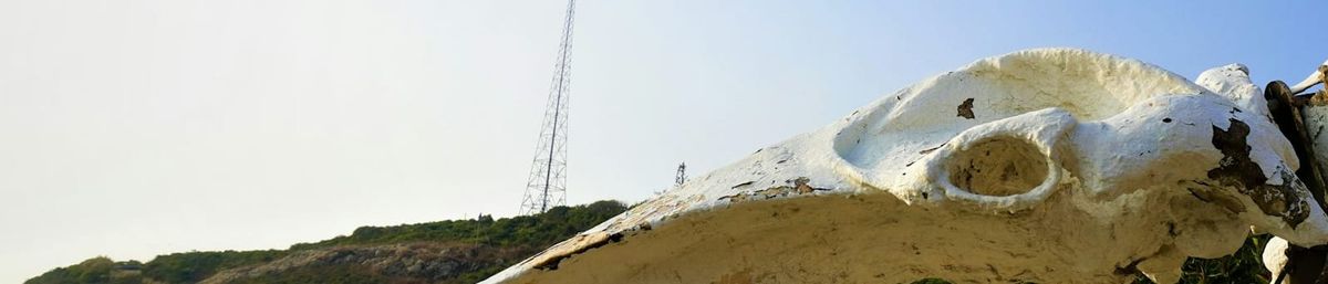 A long skull - it appears to be a metal sculpture painted white, with paint flaking off. In the background is a hill with a pylon or antenna mast on it.