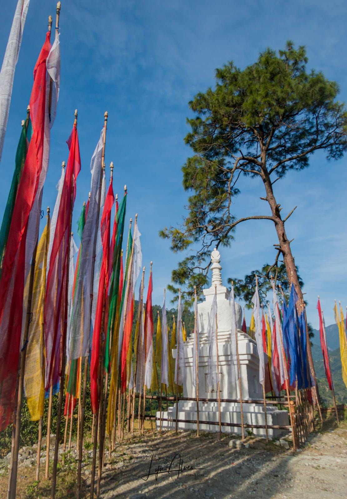 Prayer flags at a Stupa