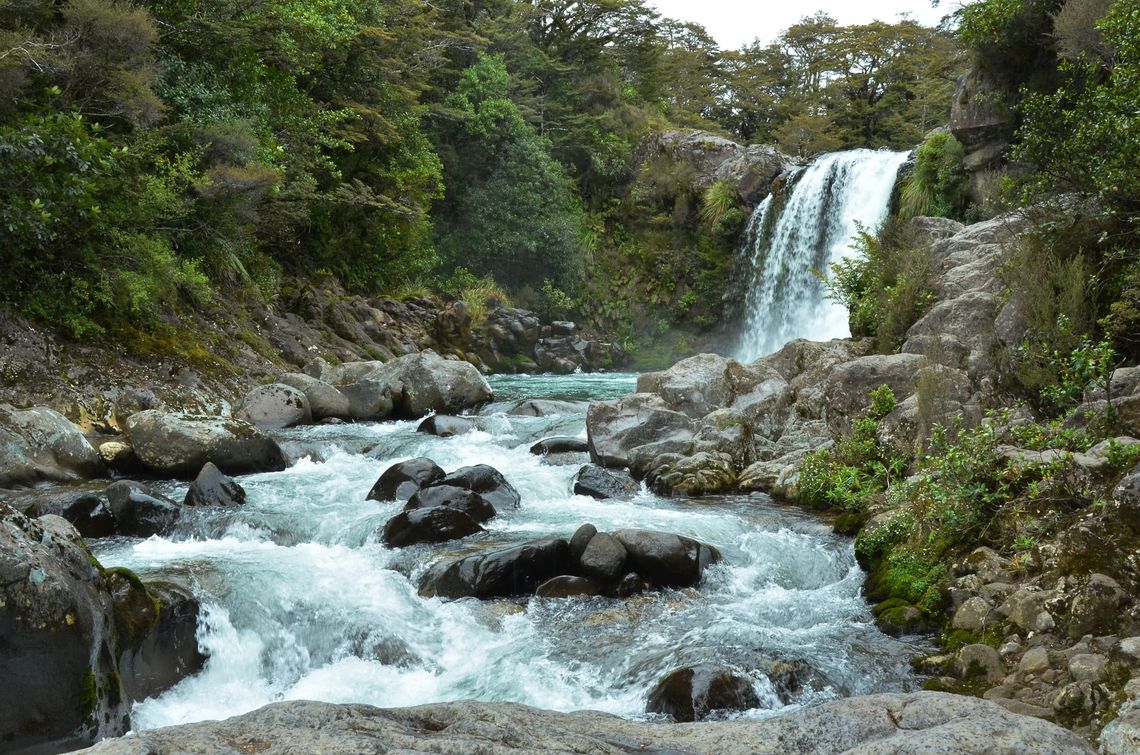 Gollums Pool Tawhai Falls