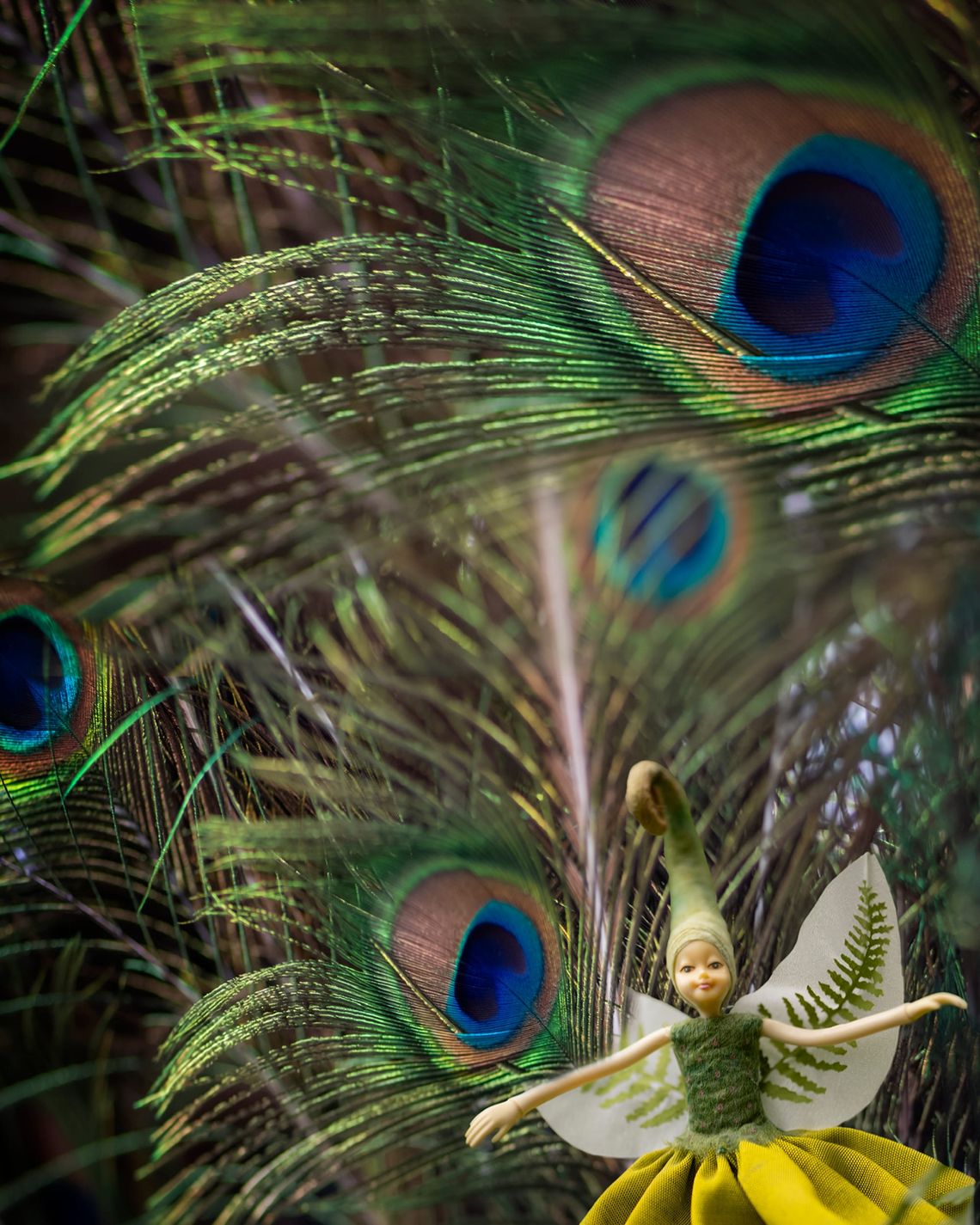 Fairy in a peacock forest
