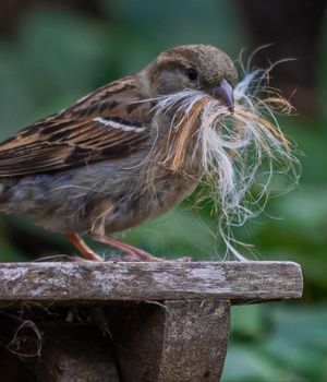 Building real estate