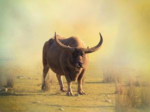 Last snack before bedtime