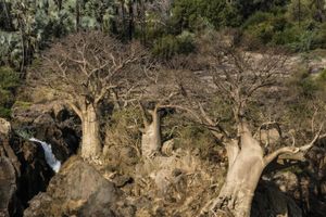 Waterfalls and Baobabs