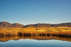 Mirror image reflection