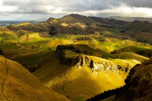Te Mata Peak scenery