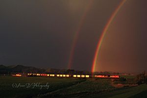 Double Rainbow