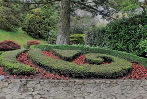 Koru at Botanic Gardens, Wellington