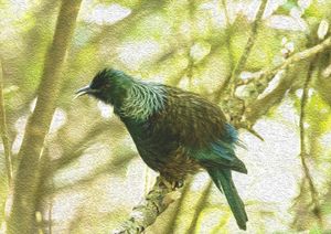 Oil paint Tui