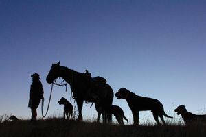 Early Morning Muster