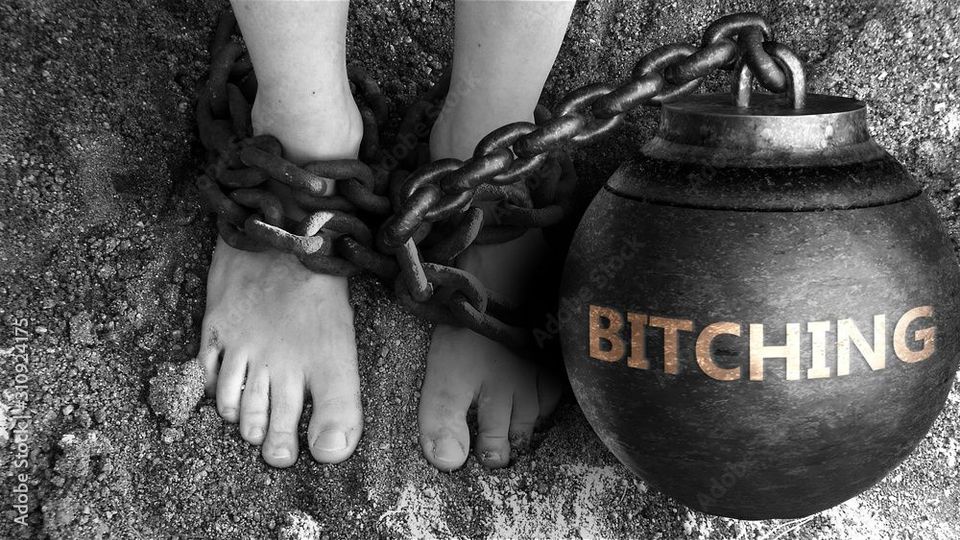 That time I declared my intent to be called a bitch