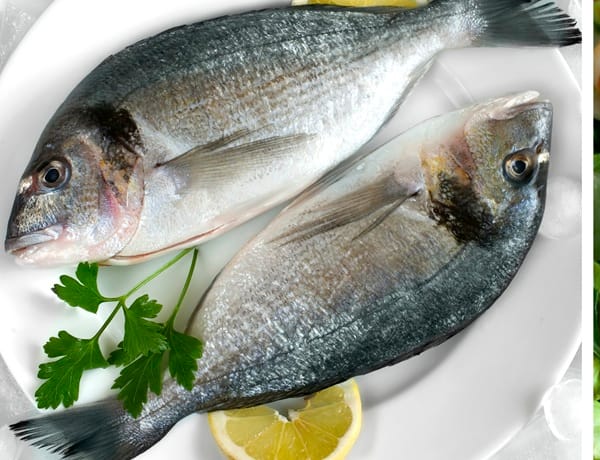 Silver Croaker - (Ghol Fish / Kora / Bhola