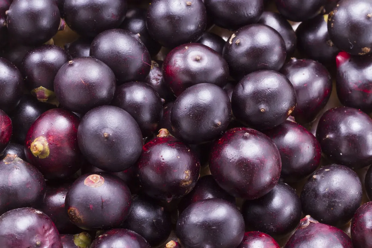 Açai Berries