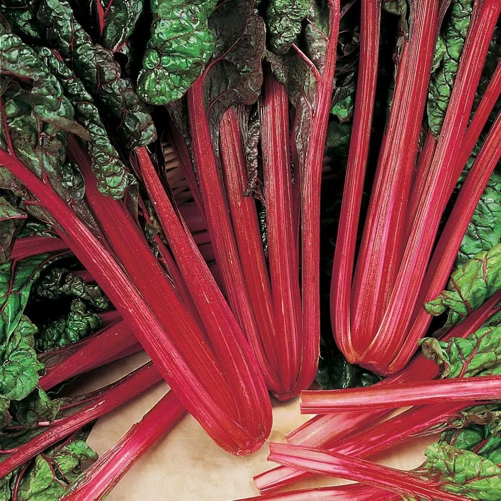 Rhubarb