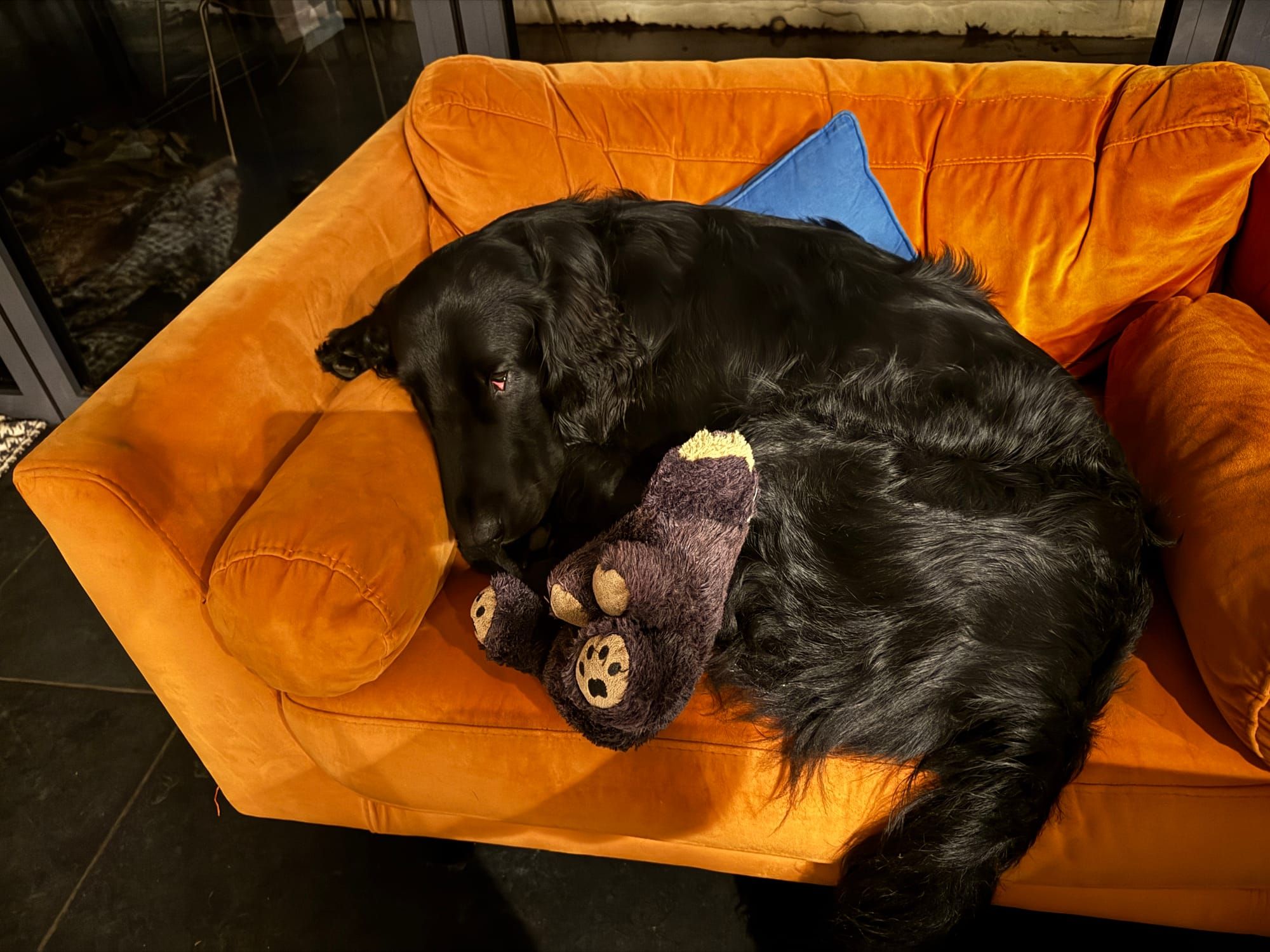 Why do big corporations always ruin things?