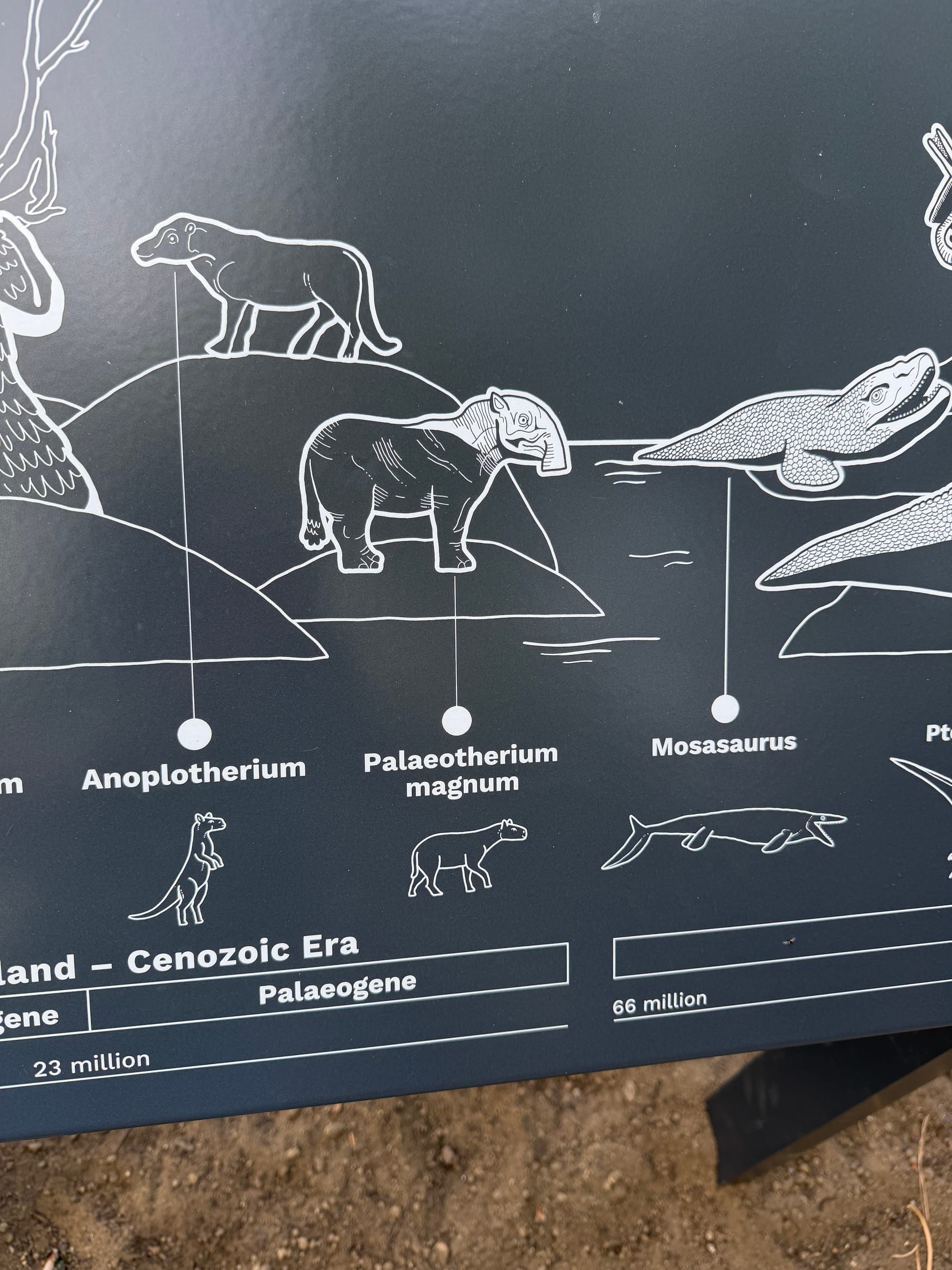 The restoration of the Crystal Palace dinosaurs
