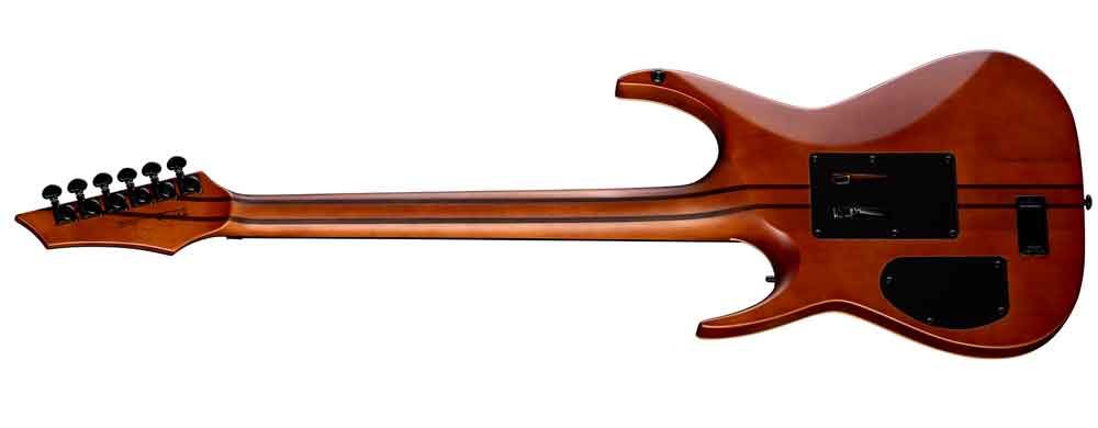 Dean Guitars Exile Select Floyd Neck-Thru Archtop Black Burst Guitar