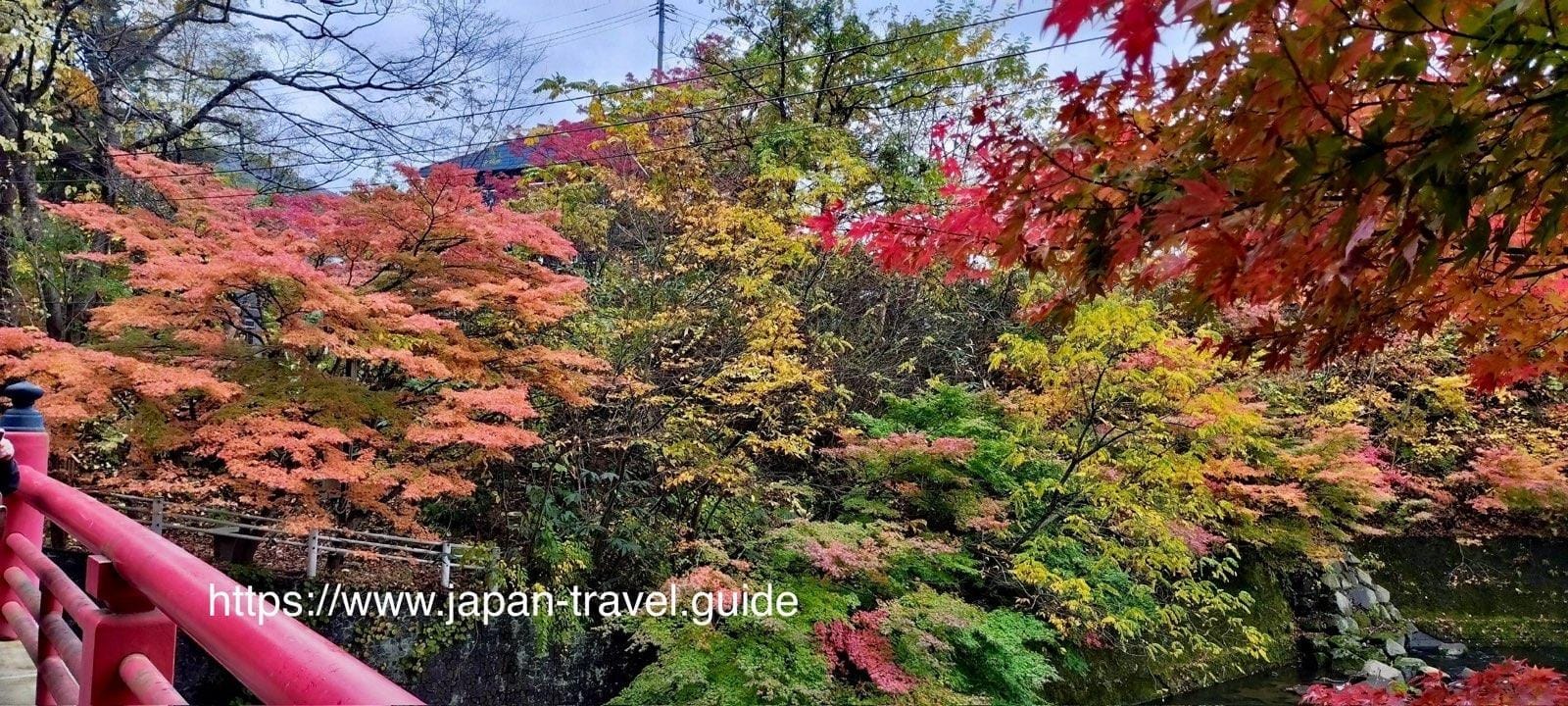 从红色桥栏旁欣赏中野山层叠秋色