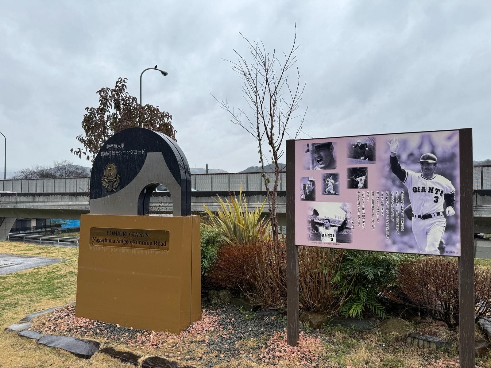 城山樱花会场的钟与照片展板