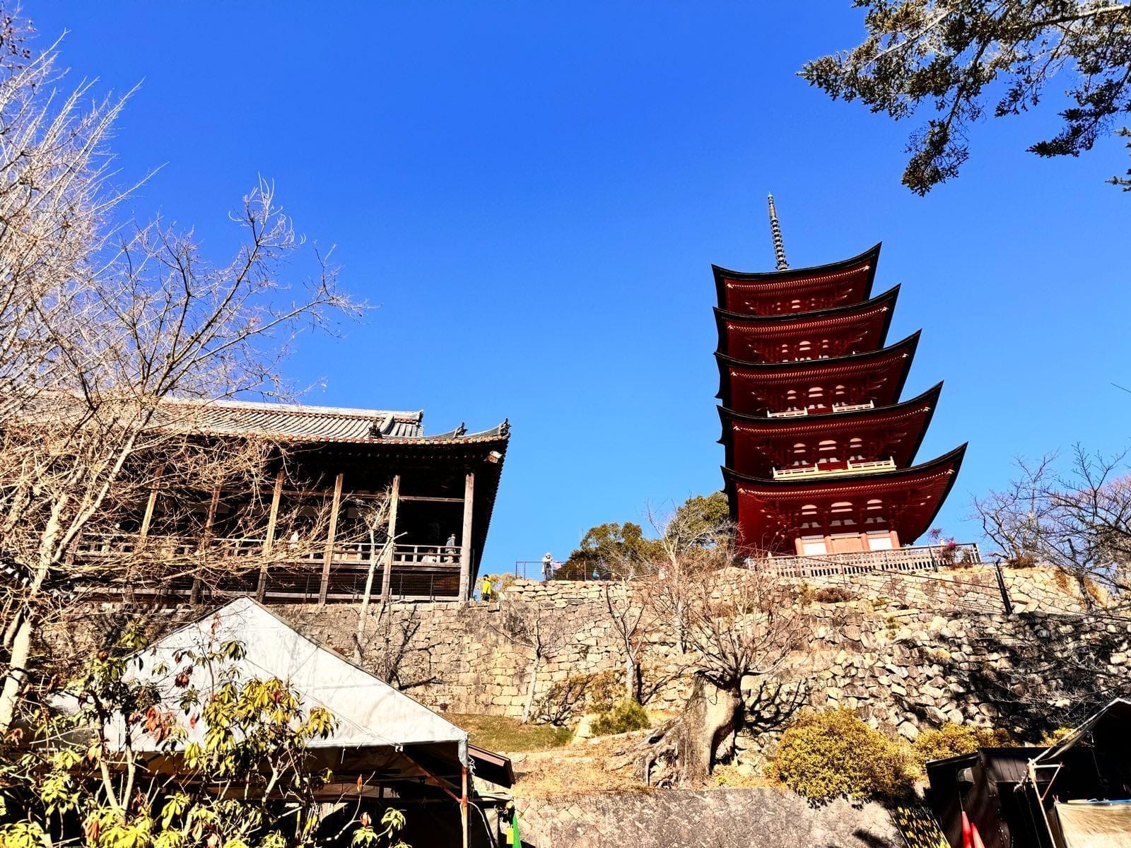 从山坡下仰望千叠阁与五重塔