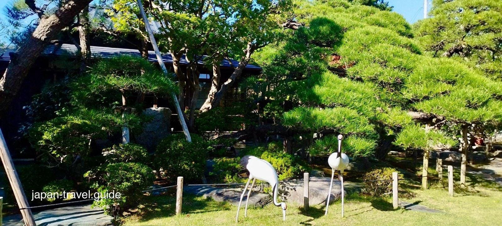 旧小泽家住宅庭园的松树与鹤形装饰