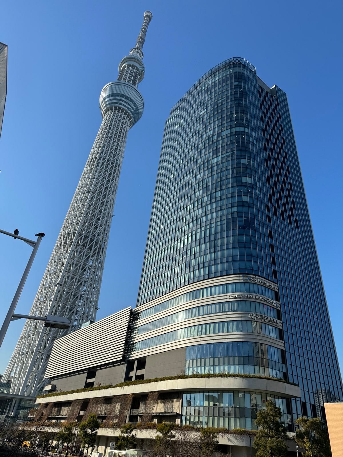 东京晴空塔与旁边的东塔大楼