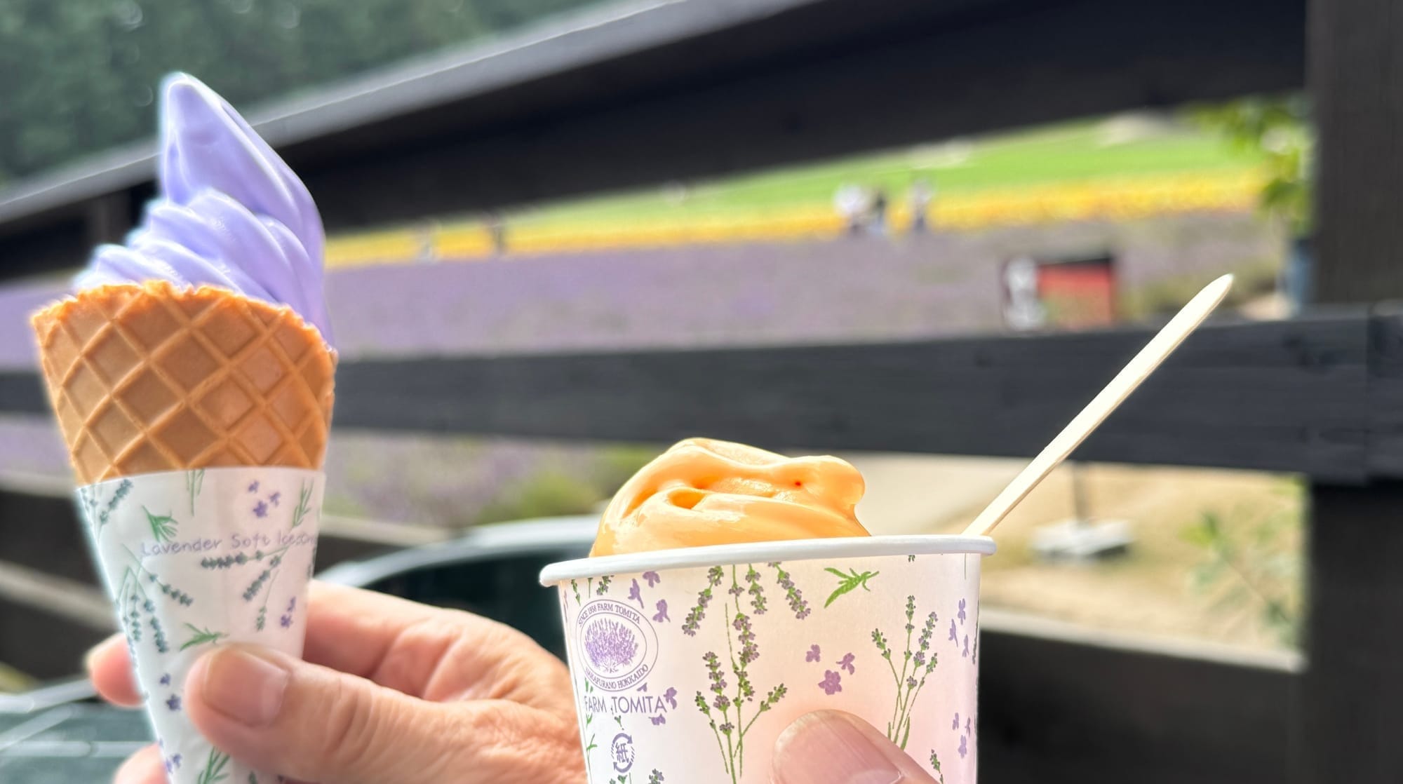 花田旁品尝的薰衣草冰淇淋与甜点