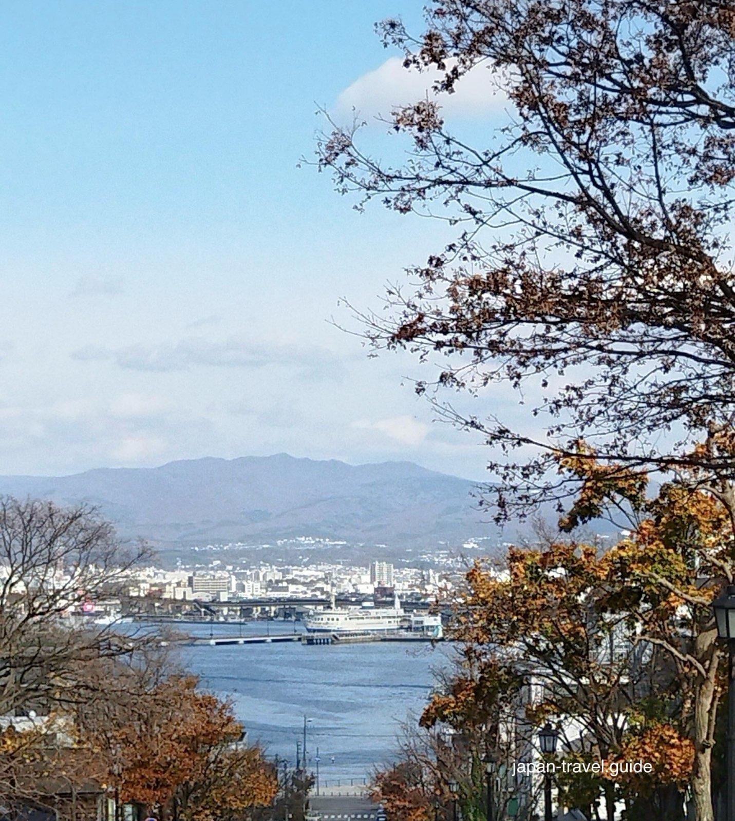 从函馆元町一带眺望海湾与市区