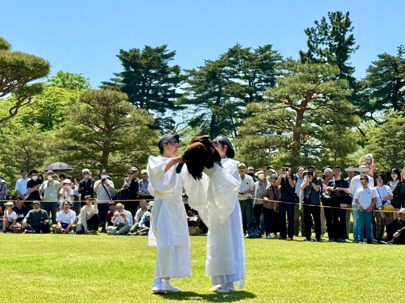 若松鹤城的放鹰术表演