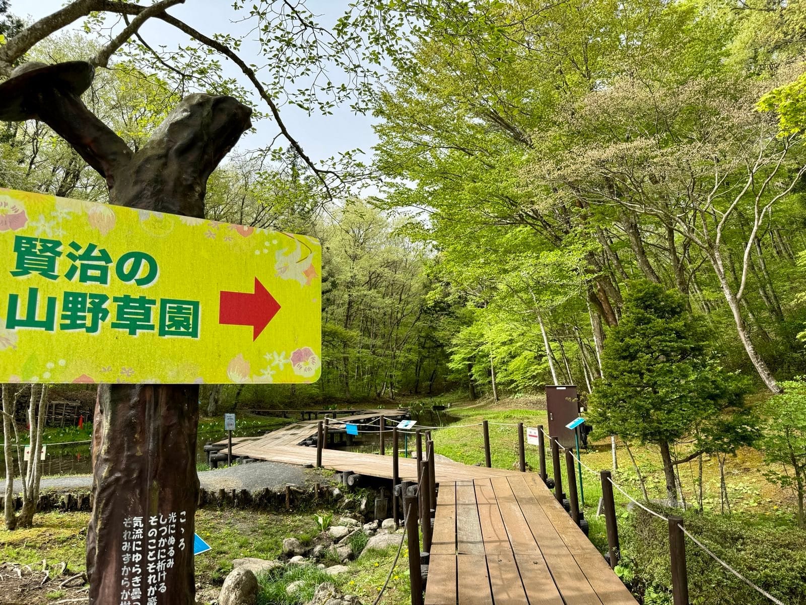 通往贤治山野草园的木栈道