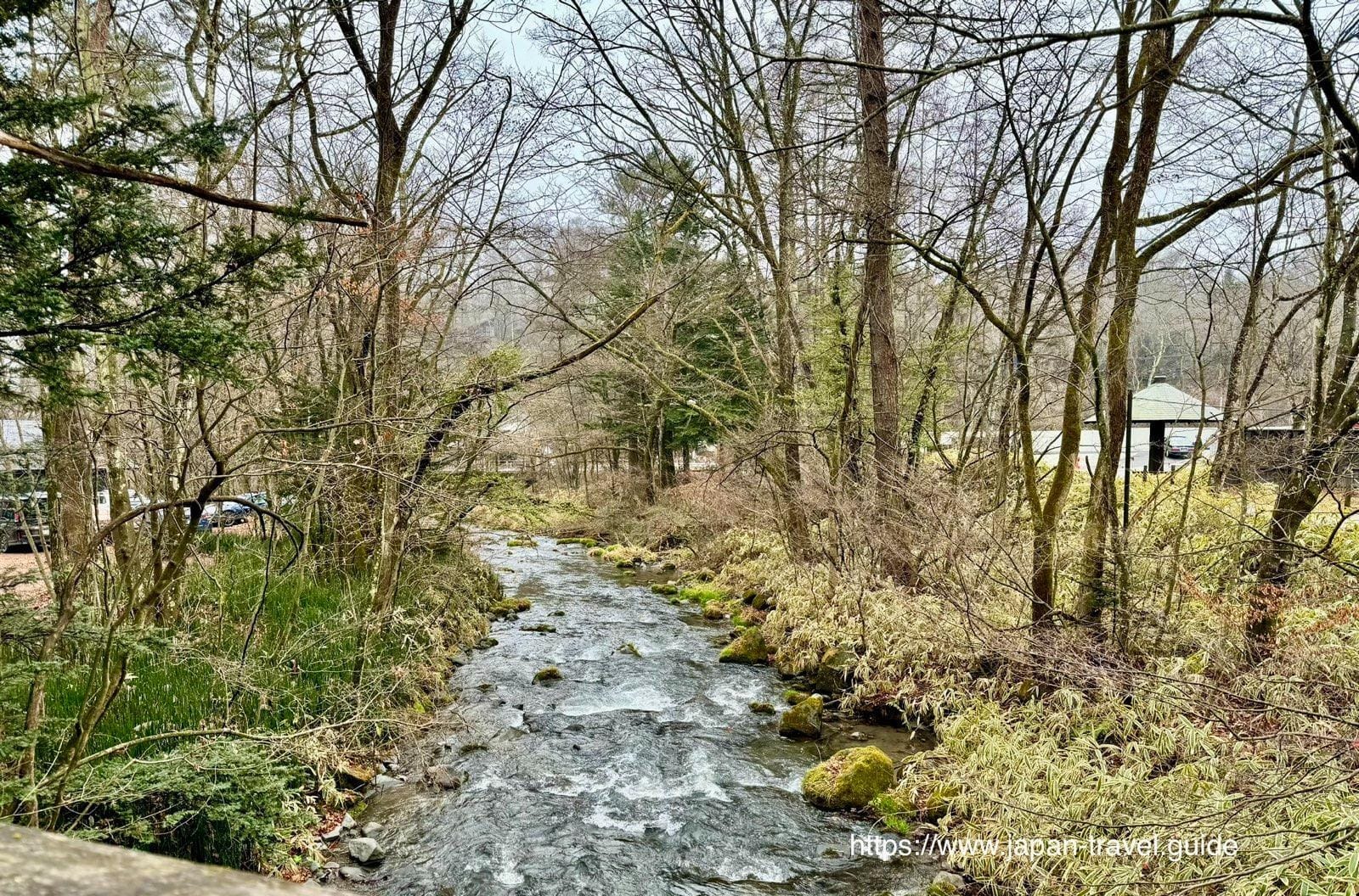 星野度假区树林间流淌的汤川