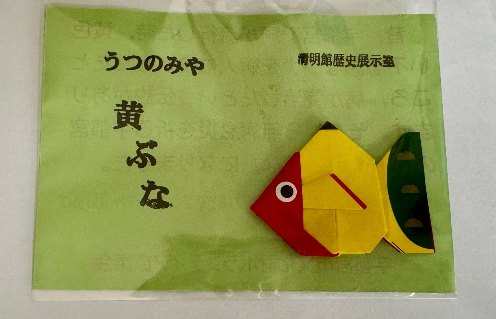 城址公园工作人员赠送的黄鲫折纸