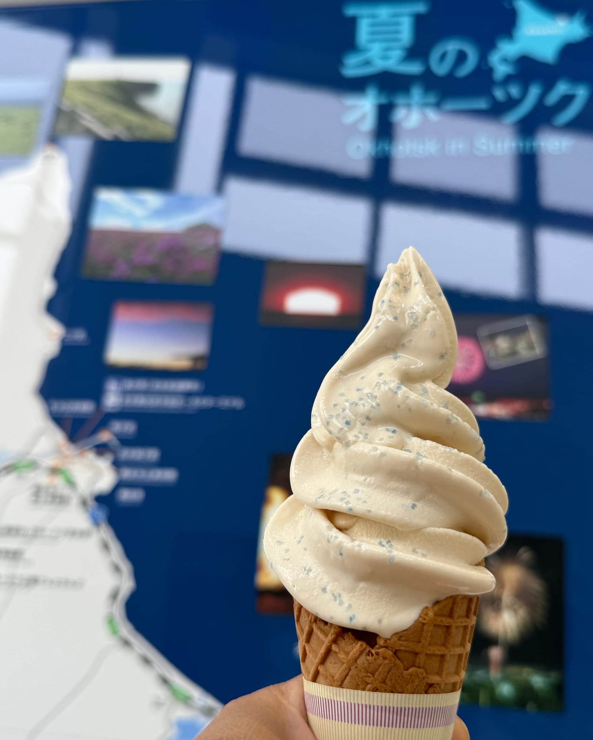 参观后买的海盐牛奶冰淇淋
